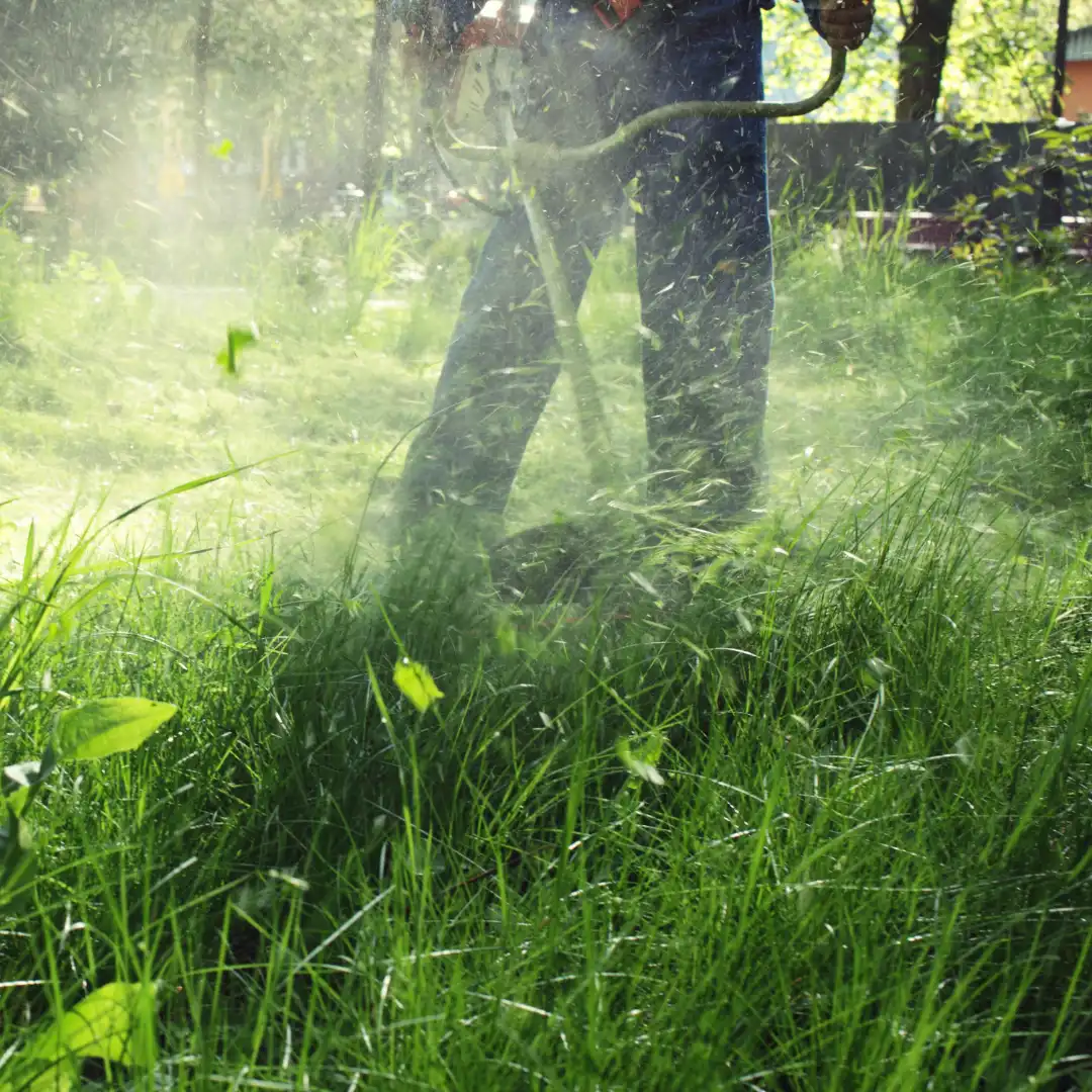 Verdant Garden Services - Gardening, Commercial Maintenance and Landscaping Services in Sussex and Surrey.